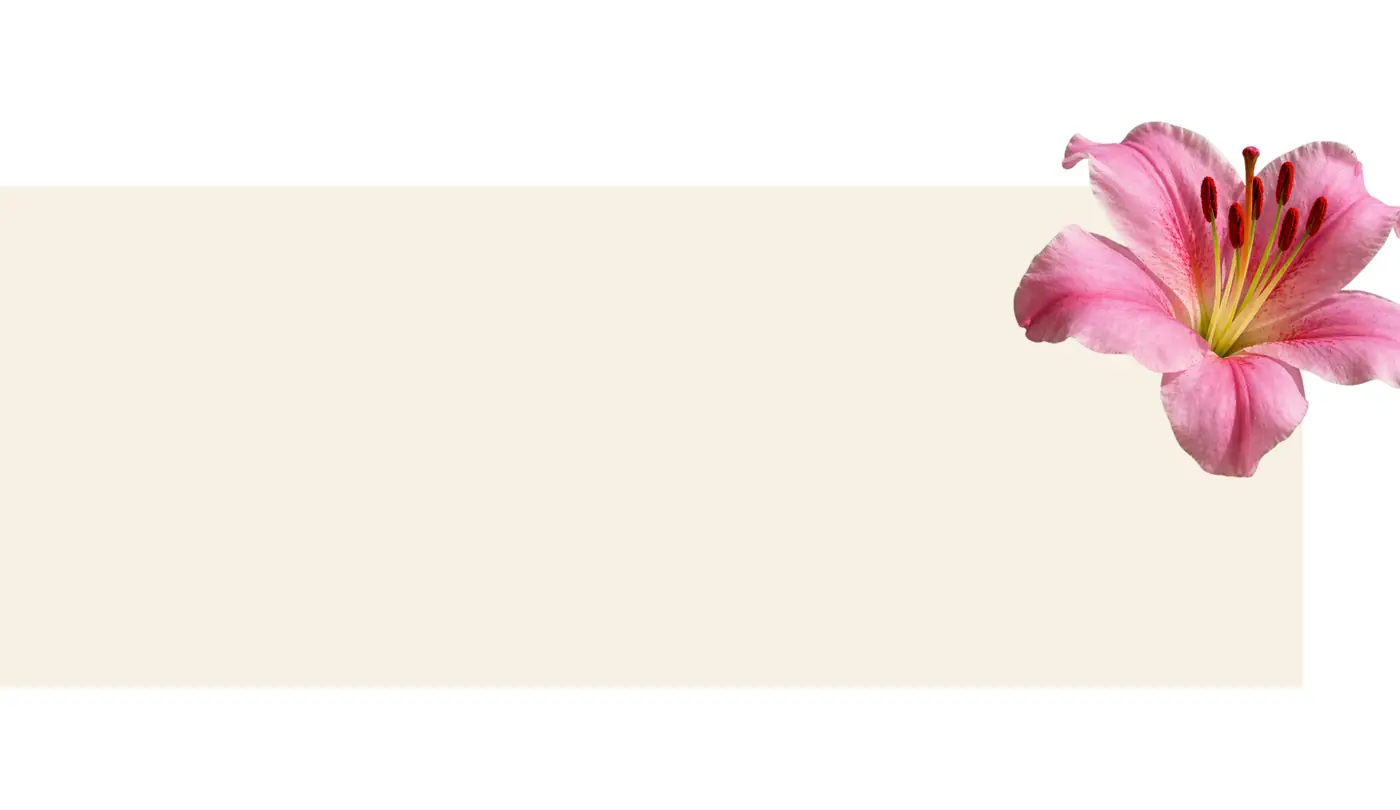 banner background