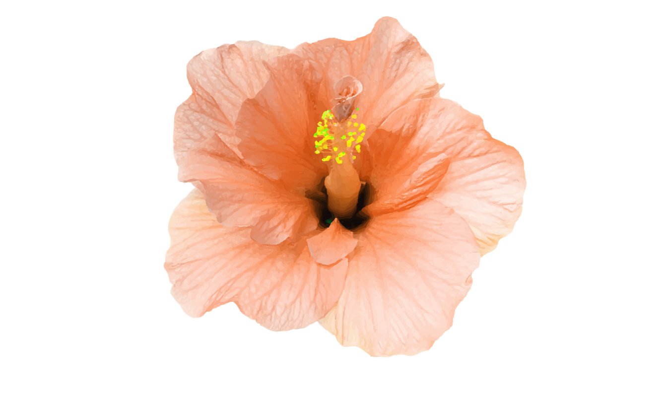 Floriografi (Çiçek Dili) Nedir?