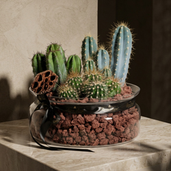 Terraryum
