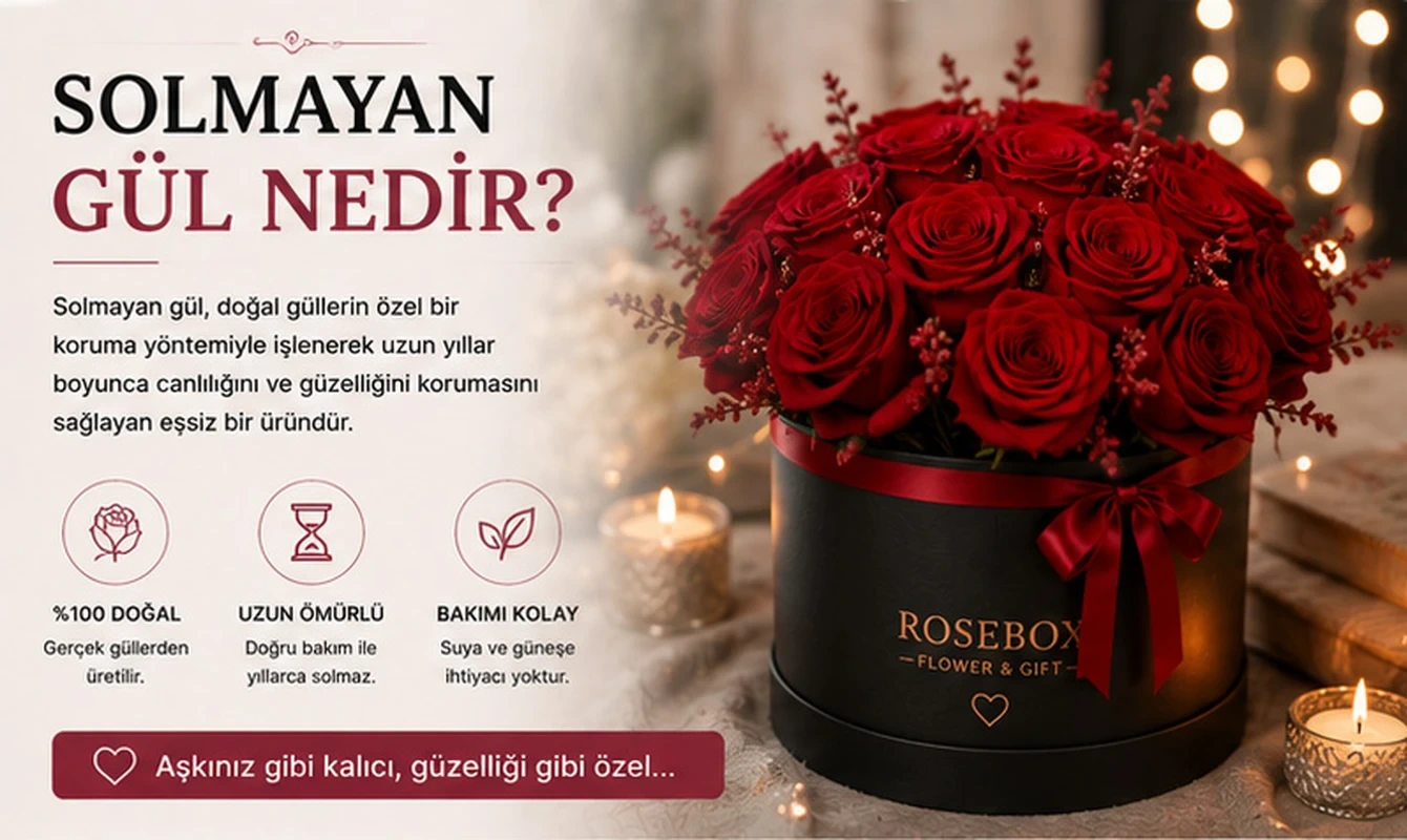 Cam kutuda sergilenen kırmızı solmayan gül