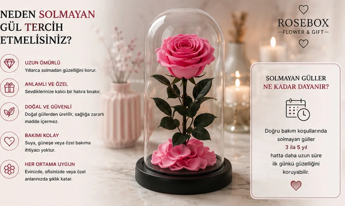 Farklı renklerde solmayan gül koleksiyonu