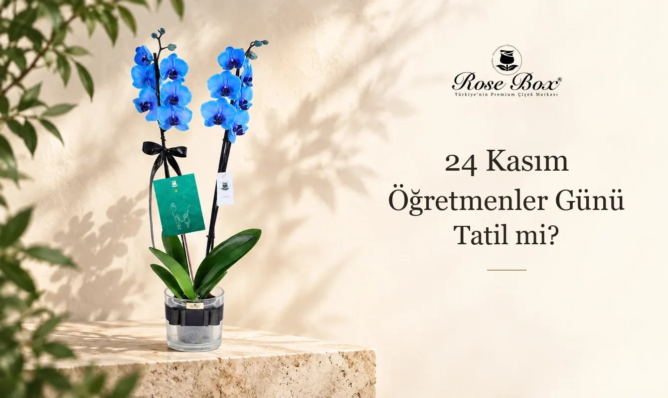 24 Kasım Öğretmenler Günü Tatil mi?