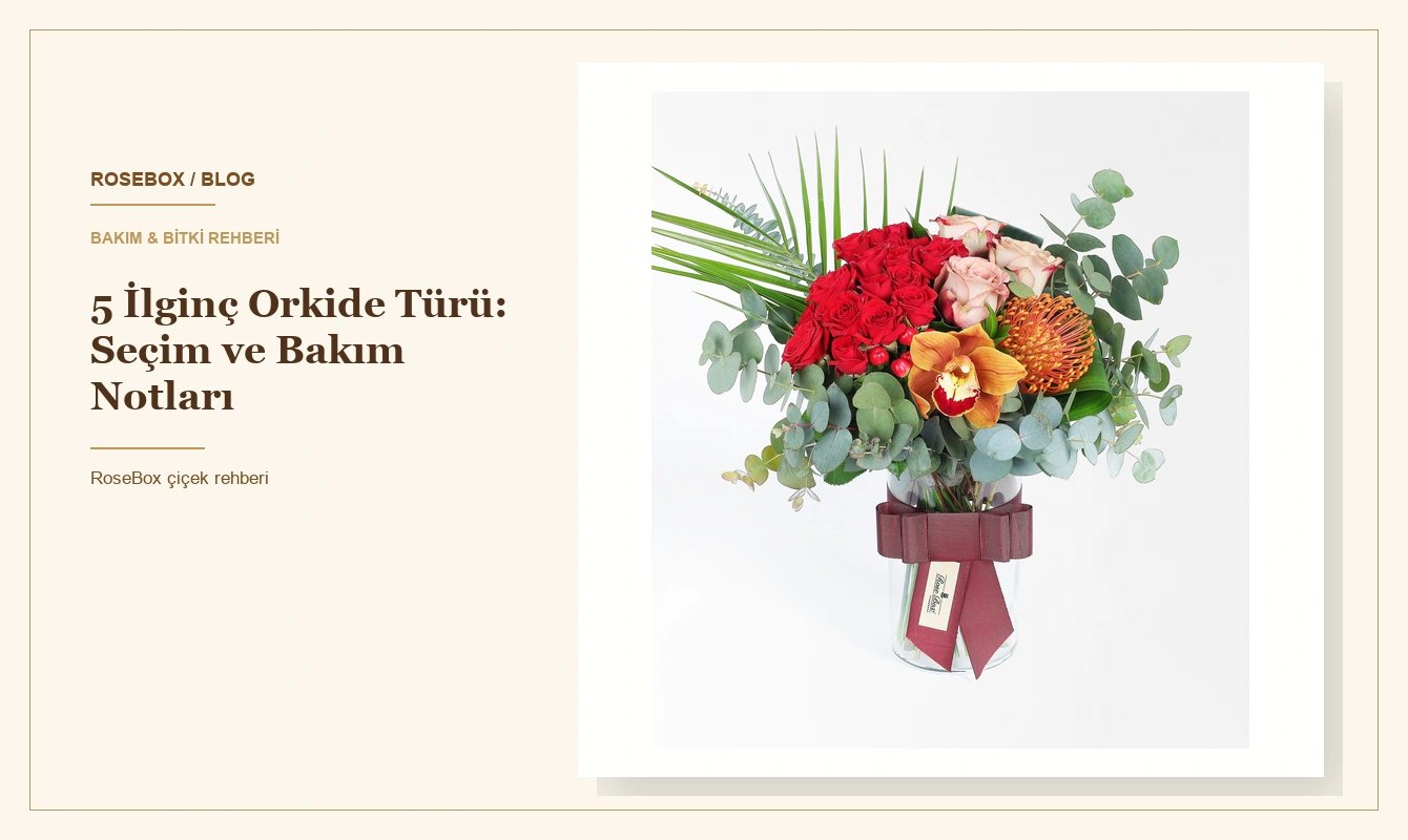 5 İlginç Orkide Türü: Seçim ve Bakım Notları