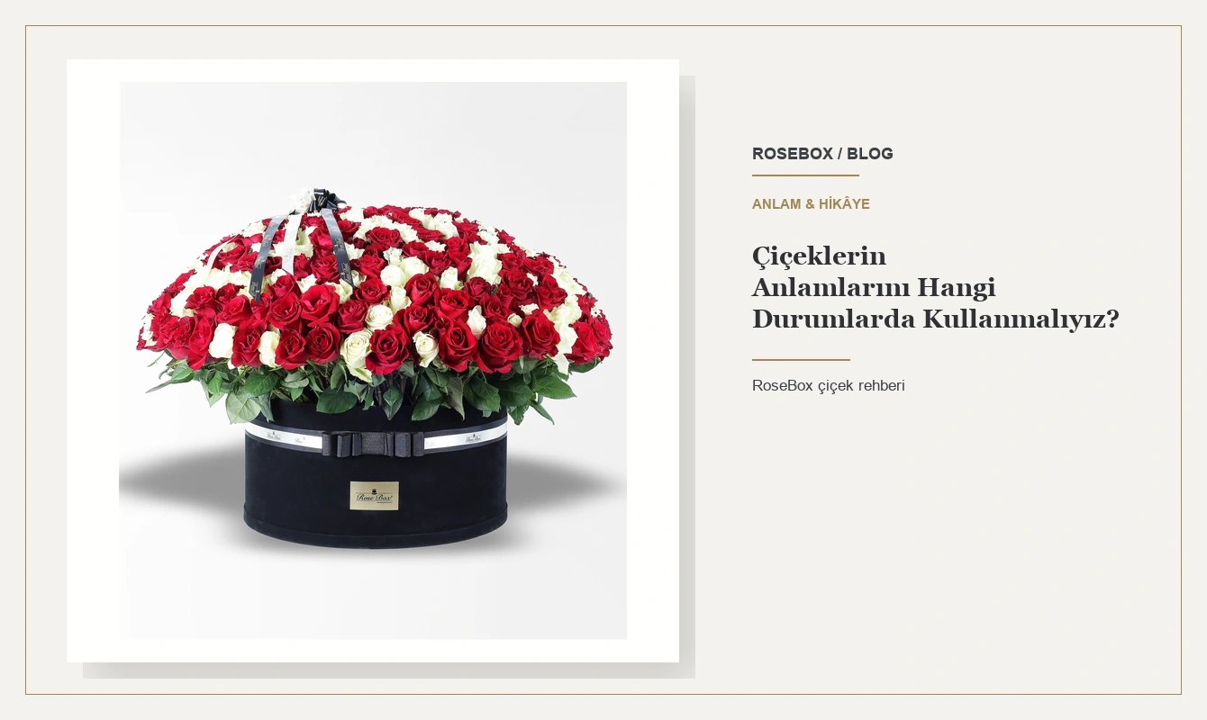 Çiçeklerin Anlamlarını Hangi Durumlarda Kullanmalıyız?