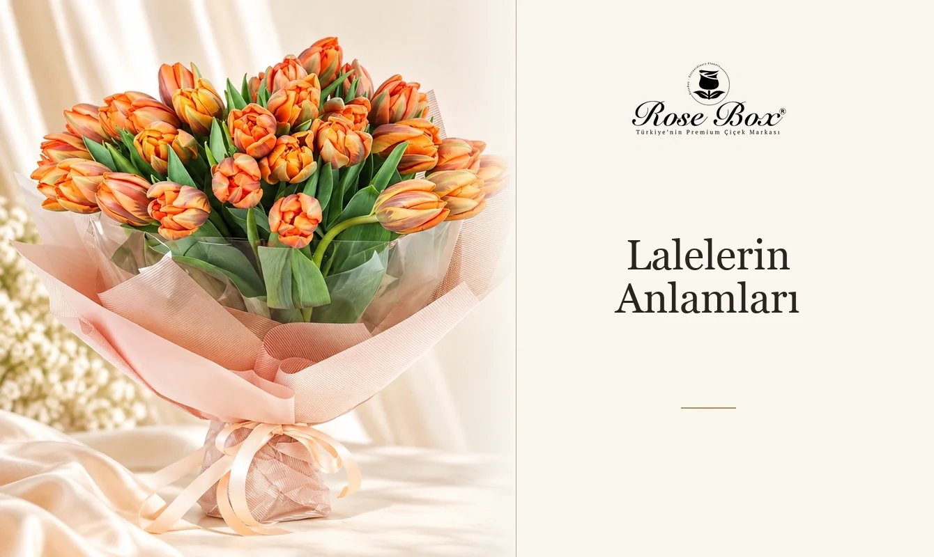 Lale Renkleri ve Anlamları