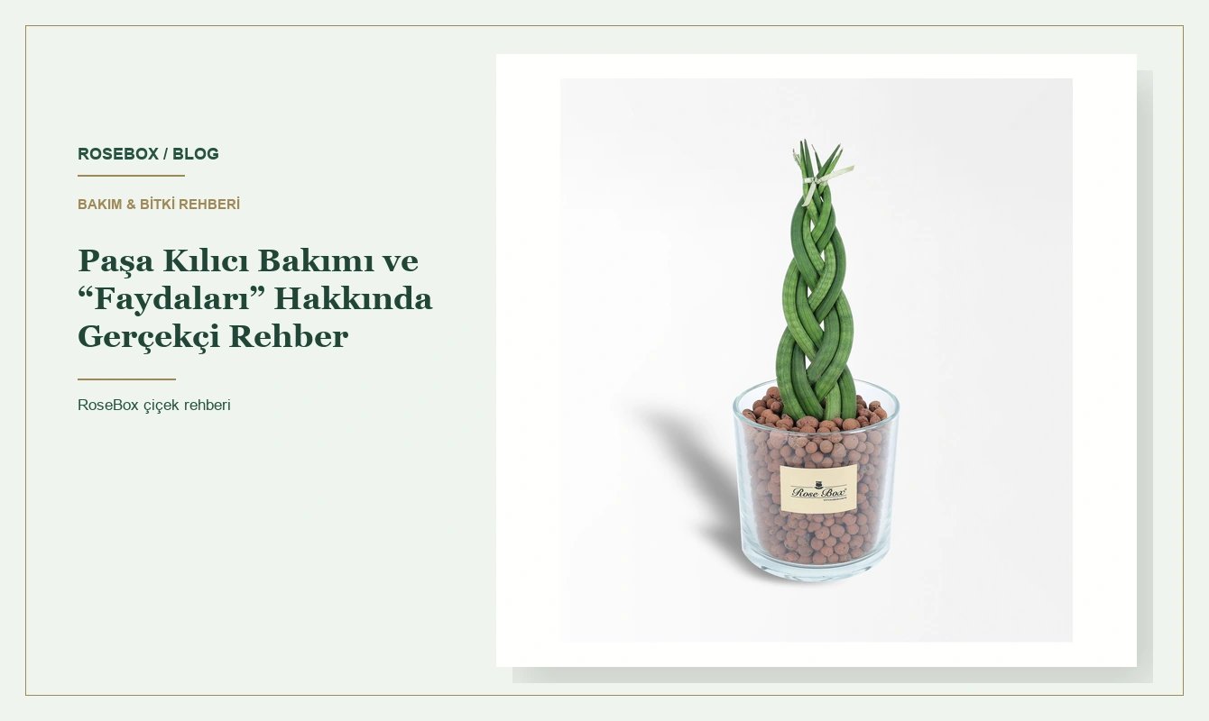 Kılıç Çiçeği Faydaları