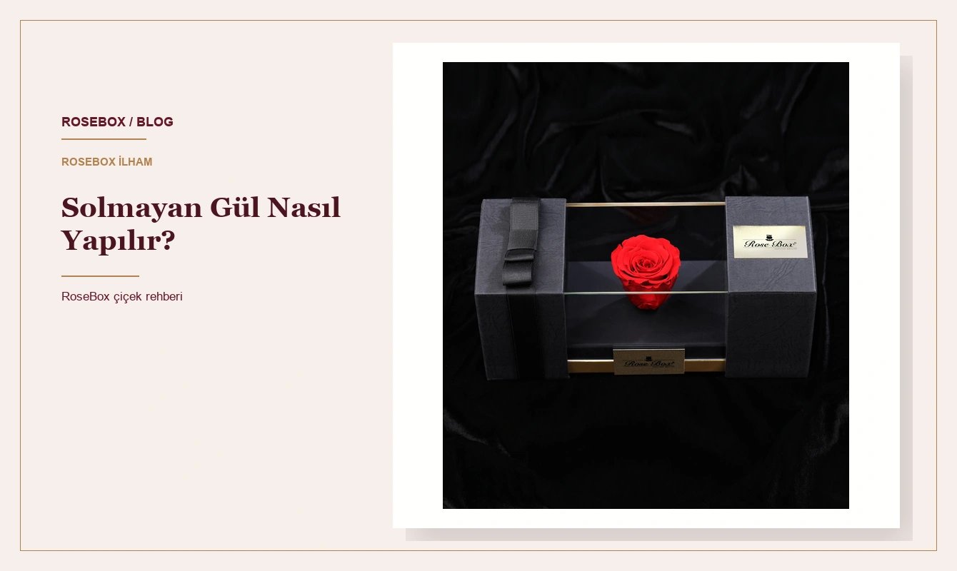 Solmayan Gül Nasıl Yapılır?