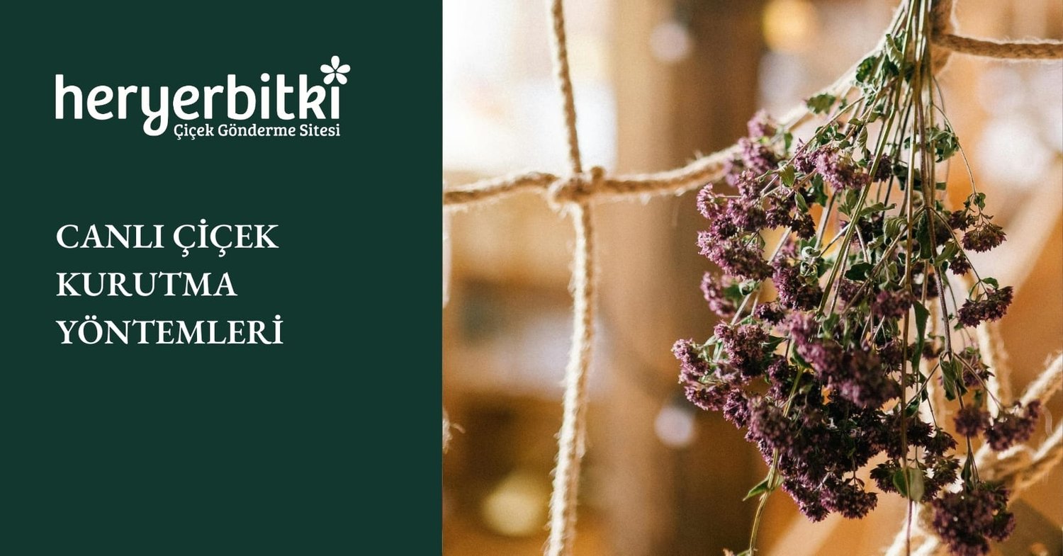 CANLI ÇİÇEK KURUTMA YÖNTEMLERİ