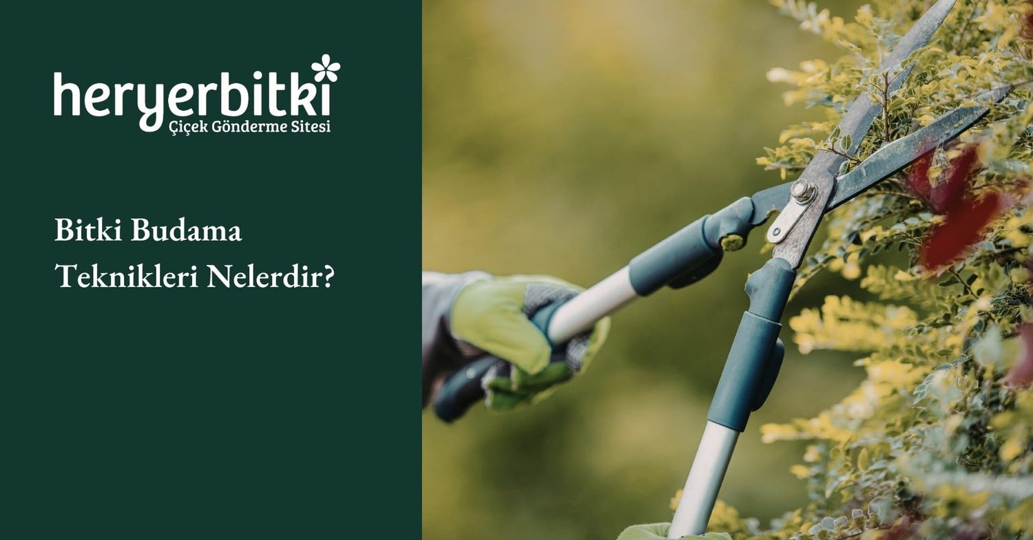 Bitki Budama Teknikleri Nelerdir?