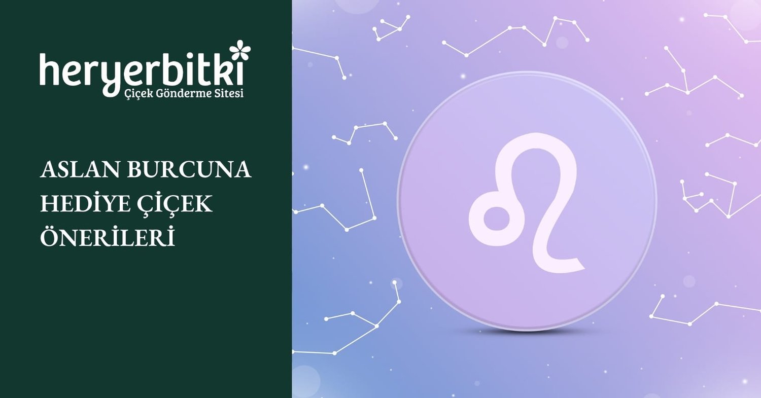ASLAN BURCUNA HEDİYE ÇİÇEK ÖNERİLERİ