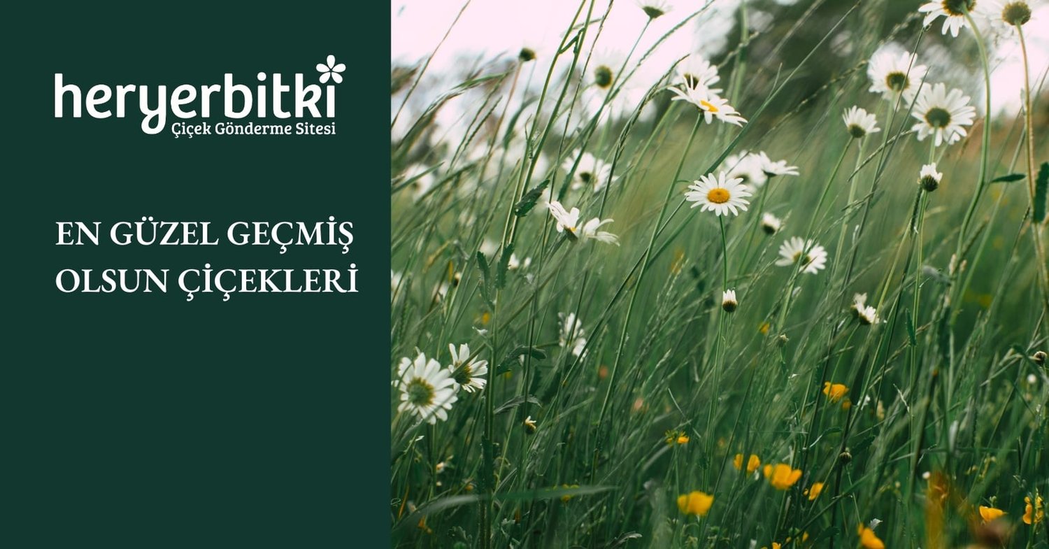 EN GÜZEL GEÇMİŞ OLSUN ÇİÇEKLERİ