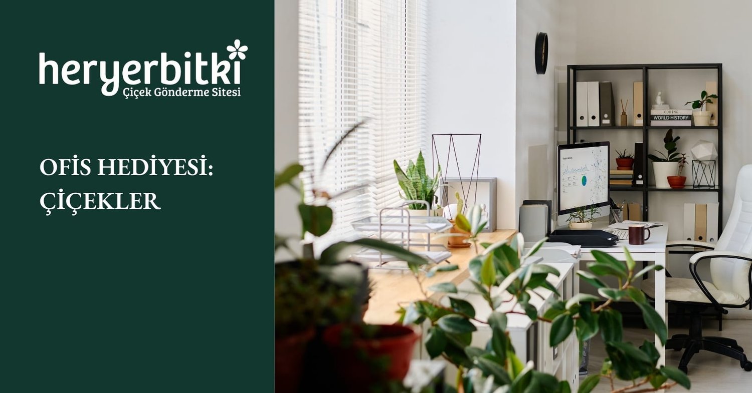 OFİS HEDİYESİ: ÇİÇEKLER