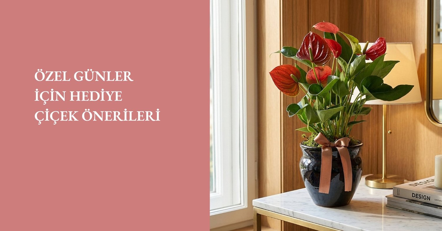 ÖZEL GÜNLER İÇİN HEDİYE ÇİÇEK ÖNERİLERİ