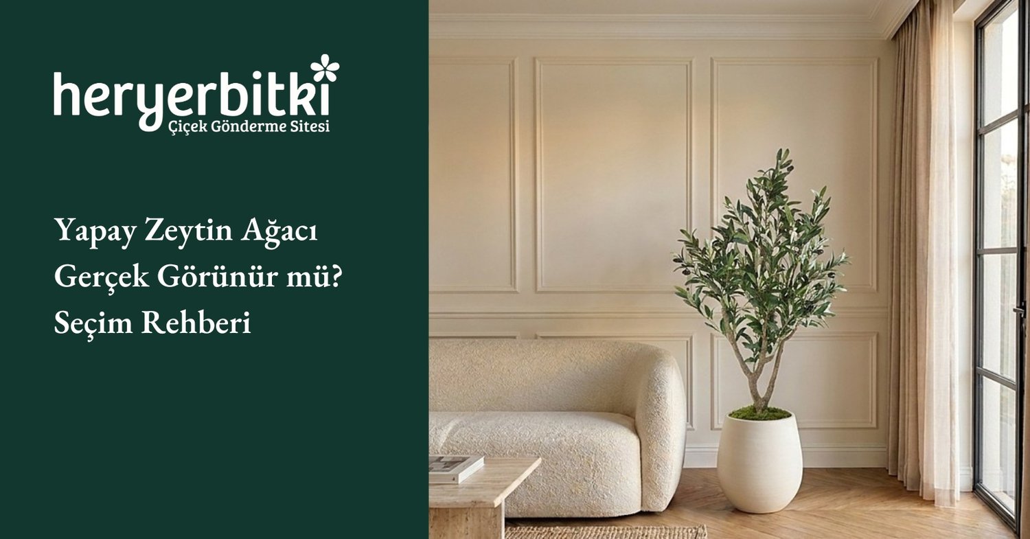 Yapay Zeytin Ağacı Gerçek Görünür mü? Seçim Rehberi